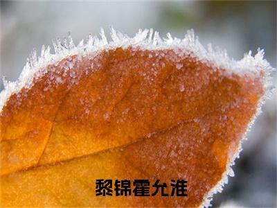  黎锦霍允淮小说全文（离婚后，全球首富为我撑腰）在线阅读- 黎锦霍允淮全文免费阅读无弹窗大结局