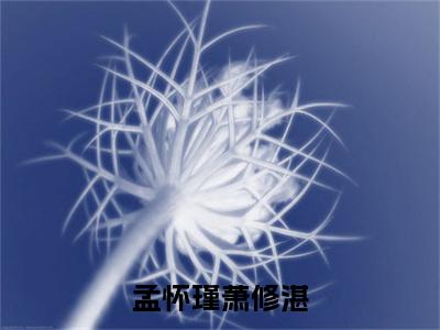 孟怀瑾萧修湛(萧修湛孟怀瑾)免费阅读无弹窗大结局_孟怀瑾萧修湛小说(萧修湛孟怀瑾)免费阅读最新章节列表(萧修湛孟怀瑾)