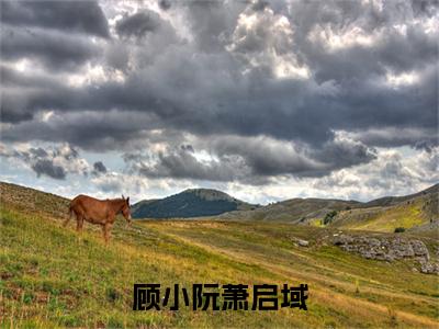 顾小阮萧启域小说（萧启域顾小阮）全文免费阅读无弹窗大结局_ (萧启域顾小阮免费阅读)最新章节列表_笔趣阁（萧启域顾小阮）