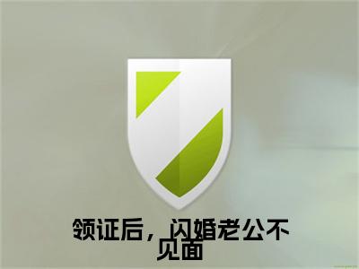 领证后,闪婚老公不见面(莫菲菲楚风城)全文免费阅读_领证后,闪婚老公不见面(莫菲菲楚风城)最新章节小说免费阅读(领证后,闪婚老公不见面)