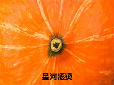 星河滚烫全文（尹晚沈清珂沈清铭）抖音热推小说全集无删减_尹晚沈清珂沈清铭免费最新章节列表_笔趣阁