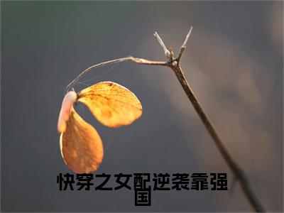 快穿之女配逆袭靠强国全文免费在线阅读_（林玉免费阅读无弹窗）快穿之女配逆袭靠强国全文免费完结版阅读（林玉）