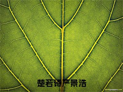 楚若诗严景浩（严景浩楚若诗）免费最新小说_严景浩楚若诗（楚若诗严景浩）免费版今日已更新