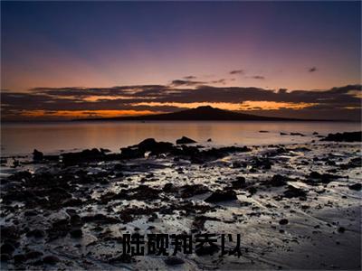 陆砚知乔以(陆砚知乔以)全文免费阅读无弹窗大结局_(陆砚知乔以小说免费阅读全文大结局)最新章节列表_笔趣阁