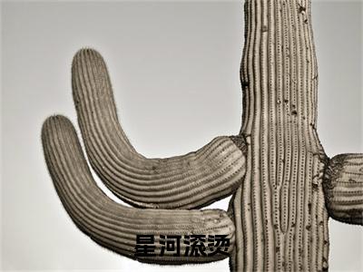 星河滚烫(尹晚沈清珂沈清铭)全文免费阅读无弹窗大结局_星河滚烫小说全文免费阅读最新章节列表(尹晚沈清珂沈清铭)
