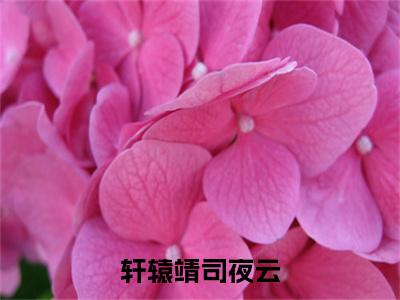 司夜云轩辕靖小说（轩辕靖司夜云）免费阅读-轩辕靖司夜云（司夜云轩辕靖）全章节最新阅读