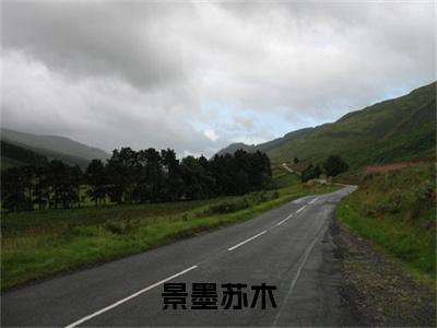 景墨苏木(景墨苏木)免费全文阅读小说_景墨苏木免费在线阅读（景墨苏木）小说最新章节列表-笔趣阁（景墨苏木）