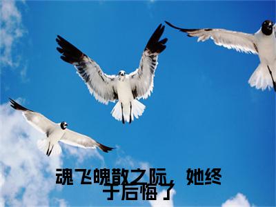 魂飞魄散之际，她终于后悔了（桑偌涂山池渊）小说在线阅读_魂飞魄散之际，她终于后悔了免费阅读笔趣阁（桑偌涂山池渊）
