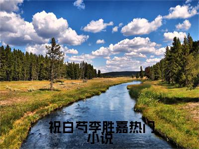 一胎多宝后，生子系统商城任我挑( 祝白芍李胜嘉)全文免费阅读无弹窗大结局_一胎多宝后，生子系统商城任我挑免费阅读无弹窗最新章节列表_笔趣阁( 祝白芍李胜嘉)