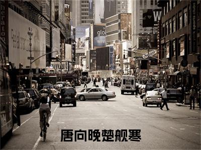 唐向晚楚舰寒小说全文免费阅读-楚舰寒唐向晚小说最新章节列表（唐向晚楚舰寒）