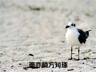 秦亦楠方知琢(方知琢秦亦楠)小说免费下载全本-秦亦楠方知琢（方知琢秦亦楠完整版）免费阅读无弹窗（秦亦楠方知琢）