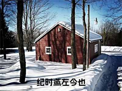 纪时鸢左今也多人追的小说在哪里可以看 左今也纪时鸢知乎连载小说免费阅读全章节