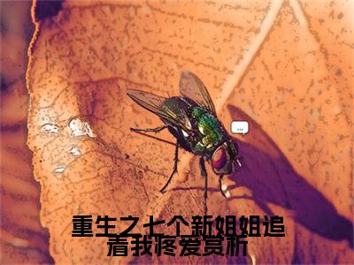 重生之七个新姐姐追着我疼爱小说无弹窗（ 林楚瑶林璐璐）全文免费阅读无弹窗大结局_( 林楚瑶林璐璐） 林楚瑶林璐璐最新章节列表_笔趣阁（重生之七个新姐姐追着我疼爱）
