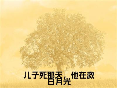 颜璐顾青裴小说（儿子死那天，他在救白月光）全文免费读无弹窗大结局_颜璐顾青裴小说免费阅读-笔趣阁（儿子死那天，他在救白月光）