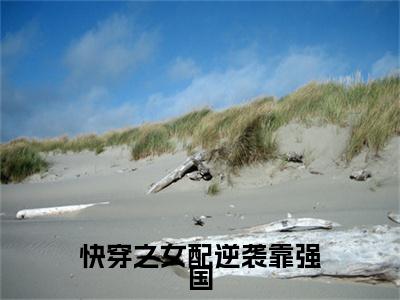 快穿之女配逆袭靠强国免费阅读无弹窗，小说林玉大结局全文免费阅读