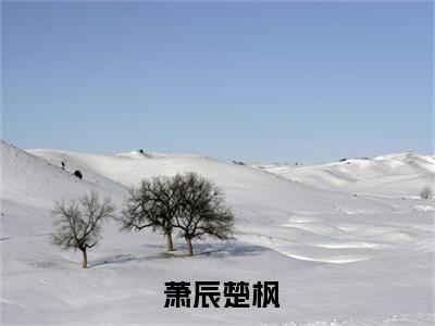 高赞小说收徒就变强？我的功法全靠编（ 萧辰楚枫）完结阅读_ 萧辰楚枫收徒就变强？我的功法全靠编免费看全文