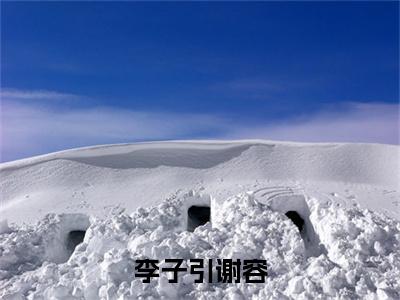李子引谢容（李子引谢容）全文小说免费阅读-李子引谢容最新章节列表_笔趣阁