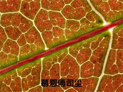 傅司尘慕恩小说-慕恩傅司尘最新章节全文阅读