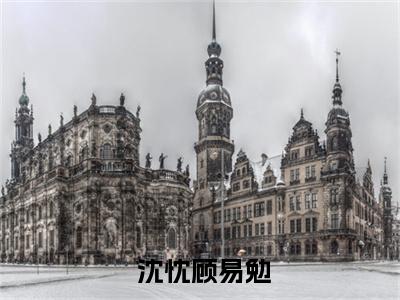  沈忱顾易勉（ 沈忱顾易勉）全文免费阅读无弹窗大结局_重生后，先生成了夫人心头宝最新章节列表_笔趣阁（ 沈忱顾易勉）