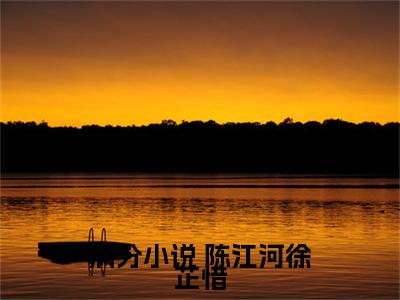 完美人生,重启2006小说在线阅读-主角叫 陈江河徐芷惜的小说（完美人生,重启2006）完整版免费阅读全文