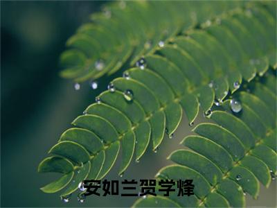 安如兰贺学烽(贺学烽安如兰)全文免费阅读无弹窗大结局_(安如兰贺学烽)贺学烽安如兰全文免费完结版阅读