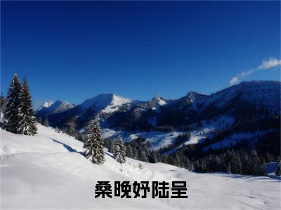 陆呈桑晚妤桑晚妤陆呈在线小说-桑晚妤陆呈全文无删减版阅读