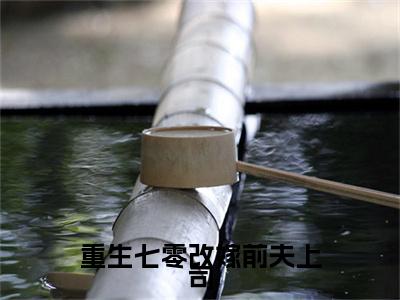 重生七零改嫁前夫上司(郑天森钟玲珑)全文免费阅读无弹窗大结局_重生七零改嫁前夫上司最新章节列表_笔趣阁（郑天森钟玲珑）
