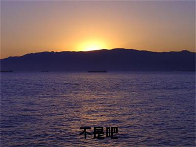 小说名字是：不是吧，我这职业都吓不跑相亲的小说免费阅读无弹窗,小说名字是： 林砚魏浩天的小说在线阅读无删减