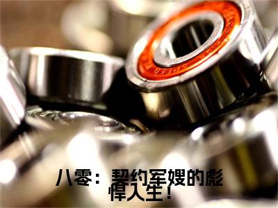 八零：契约军嫂的彪悍人生！小说（苏叶）全文免费阅读无弹窗_八零：契约军嫂的彪悍人生！小说_笔趣阁
