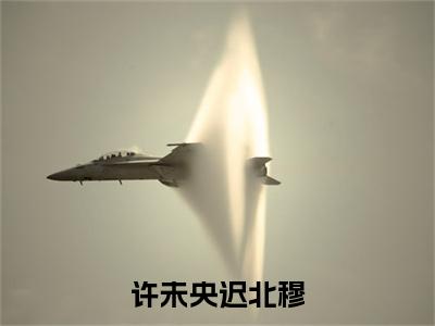 迟北穆许未央小说最新章节阅读-许未央迟北穆全文免费试读
