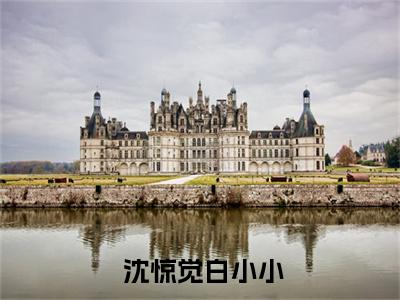 霸总倒追：财阀前妻你高攀不起全文免费阅读全文免费阅读无弹窗大结局_ 沈惊觉白小小全文免费阅读_笔趣阁