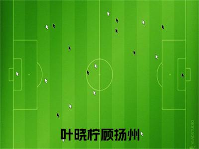 叶晓柠顾扬州（顾扬州叶晓柠）免费阅读最新章节无弹窗 顾扬州叶晓柠完整版小说在线阅读