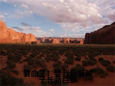 要命了！娶我后病秧子长命百岁全文免费阅读无弹窗大结局-姜云韶全文在线阅读