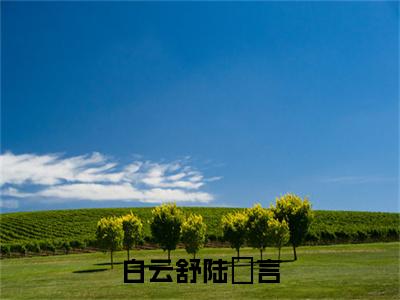 白云舒陆璟言（白云舒陆璟言）免费阅读无弹窗大结局-白云舒陆璟言完整版最新阅读