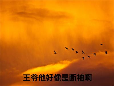王爷他好像是断袖啊（颜荀盛子戎）全文免费阅读无弹窗大结局_(颜荀盛子戎)王爷他好像是断袖啊免费阅读无弹窗最新章节列表_笔趣阁（颜荀盛子戎）