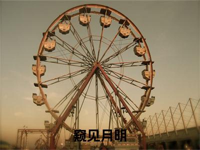周政安姜南(窥见月明)全文免费阅读无弹窗大结局_窥见月明_笔趣阁