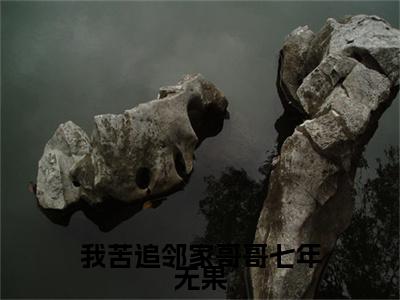 我苦追邻家哥哥七年无果小说全文免费阅读无弹窗大结局_我苦追邻家哥哥七年无果陆烬时桑初禾最新章节列表_笔趣阁(我苦追邻家哥哥七年无果)