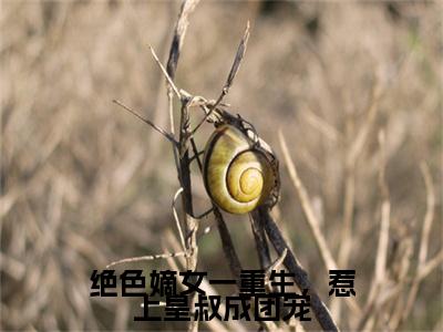 墨元明夏初瑶(绝色嫡女一重生，惹上皇叔成团宠)全文免费阅读无弹窗大结局_(墨元明夏初瑶小说免费阅读全文大结局)最新章节列表_笔趣阁