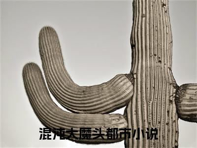 混沌大魔头 赵蛮子白帝最新章节免费阅读-混沌大魔头小说推荐 赵蛮子白帝精彩章节在线阅读
