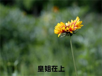 皇姐在上全文无弹窗阅读 李怀晋李梧姜大结局全文免费