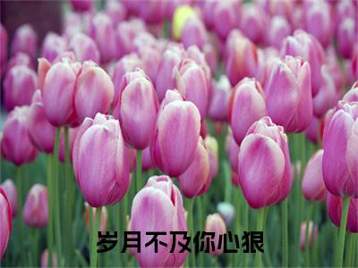 岁月不及你心狠（苏晚晚陆亦初)全文免费阅读无弹窗大结局_岁月不及你心狠全文完整无删减版免费阅读（苏晚晚陆亦初）