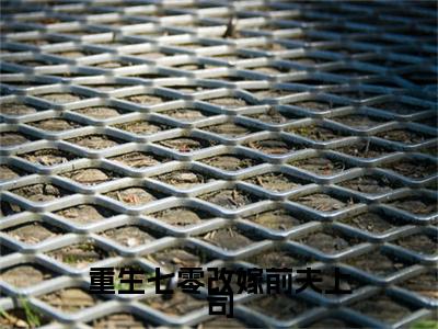 重生七零改嫁前夫上司（郑天森钟玲珑）全文在线阅读无弹窗大结局_（郑天森钟玲珑全文在线阅读无弹窗）重生七零改嫁前夫上司最新章节列表_笔趣阁（郑天森钟玲珑）