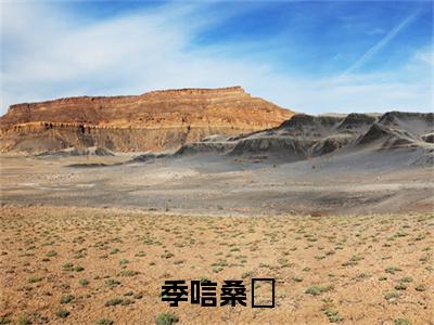 季唁桑慬是什么小说-（桑慬季唁）季唁桑慬无弹窗免费阅读大结局最新章节列表_笔趣阁