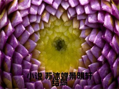 我一正经人，咋天天被病娇魔尊攻略 苏沐婵景明轩正版小说最新章节在线阅读-2023最火热点小说我一正经人，咋天天被病娇魔尊攻略最新更新