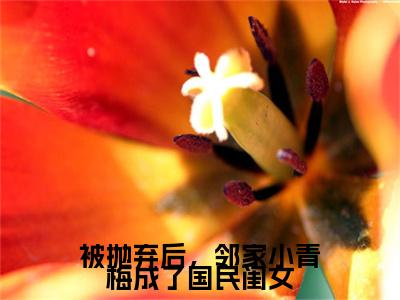 陆以潇（被抛弃后，邻家小青梅成了国民闺女）完整版小说阅读_被抛弃后，邻家小青梅成了国民闺女陆以潇全文免费阅读（被抛弃后，邻家小青梅成了国民闺女）