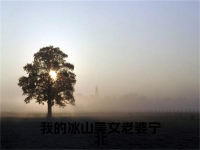 宁北我的冰山美女老婆宁北免费小说-我的冰山美女老婆宁北（宁北）已更新最新章节