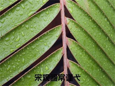宋观澜常谨弋（常谨弋宋观澜）全文免费阅读无弹窗大结局_宋观澜常谨弋全文免费阅读最新章节列表_笔趣阁