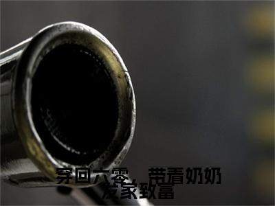 顾闻免费小说（穿回六零，带着奶奶发家致富）全文无弹窗阅读 顾闻大结局免费阅读无弹窗
