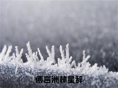 傅言洲林星辞傅言洲林星辞小说全文免费阅读无弹窗大结局_(傅言洲林星辞)傅言洲林星辞最新章节列表笔趣阁（傅言洲林星辞）