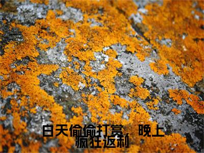 白天偷偷打赏,晚上疯狂返利(范可情)全文免费阅读无弹窗大结局_白天偷偷打赏,晚上疯狂返利最新章节列表(范可情)